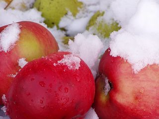 apfel
